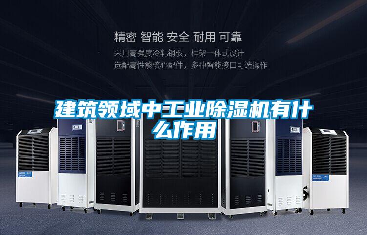 建筑领域中工业91抖音免费看片有什么作用