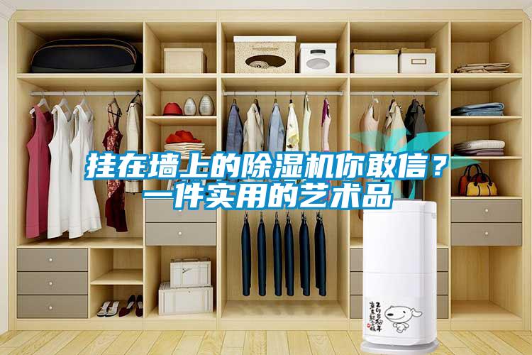挂在墙上的91抖音免费看片你敢信？一件实用的艺术品