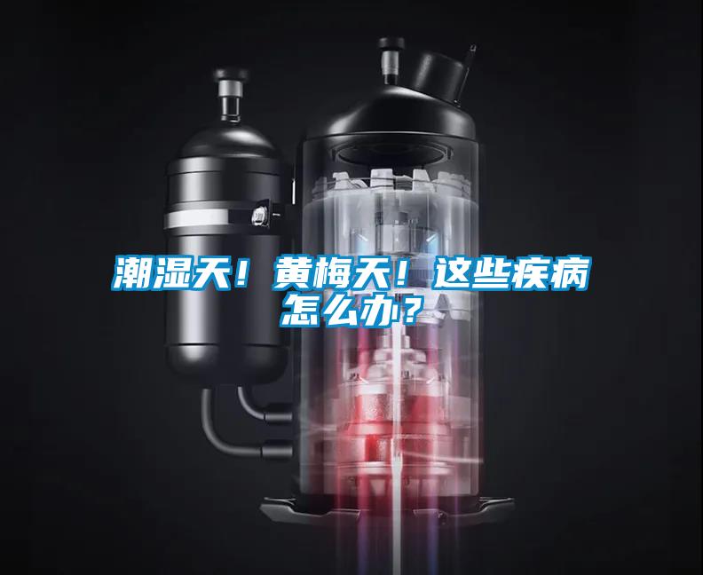 潮湿天！黄梅天！这些疾病怎么办？