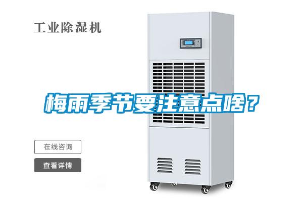 梅雨季节要注意点啥？