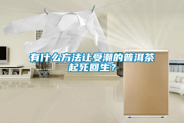 有什么方法让受潮的普洱茶起死回生？