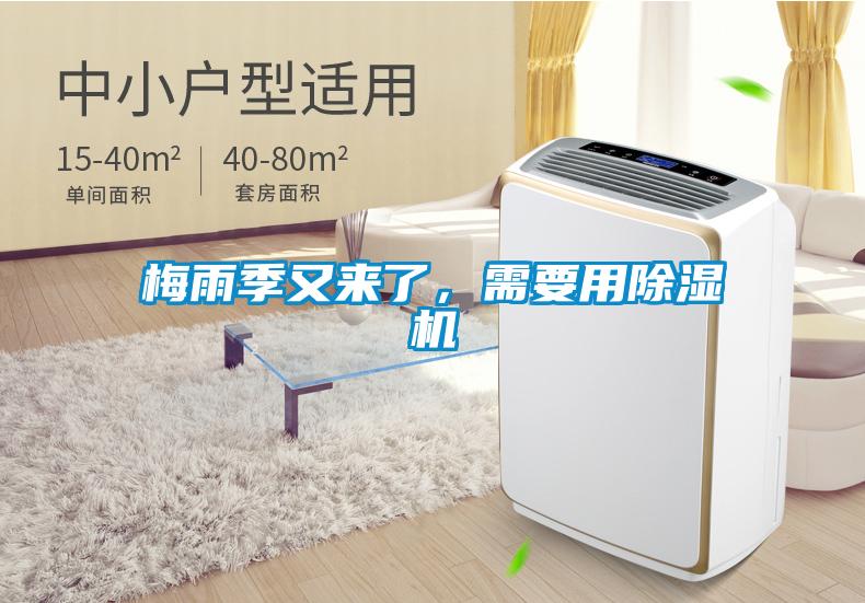梅雨季又来了，需要用91抖音免费看片