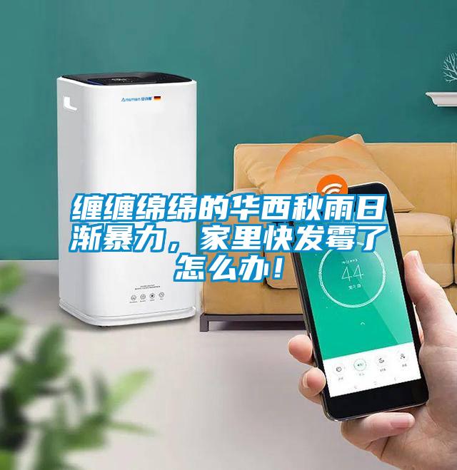 缠缠绵绵的华西秋雨日渐暴力，家里快发霉了怎么办！