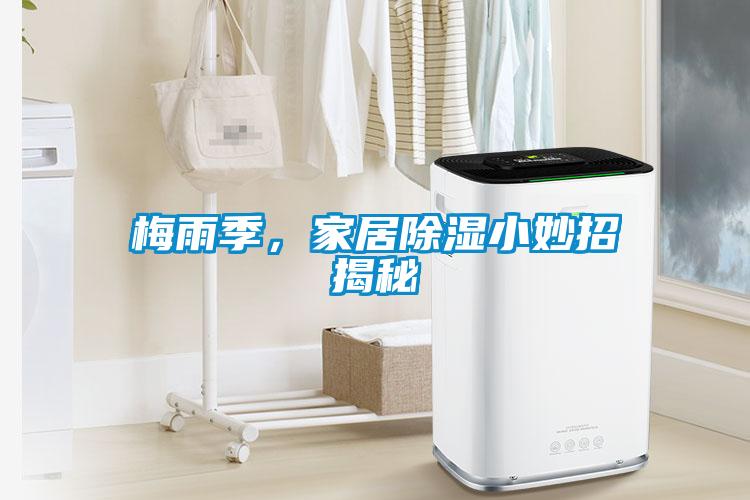 梅雨季，家居除湿小妙招揭秘