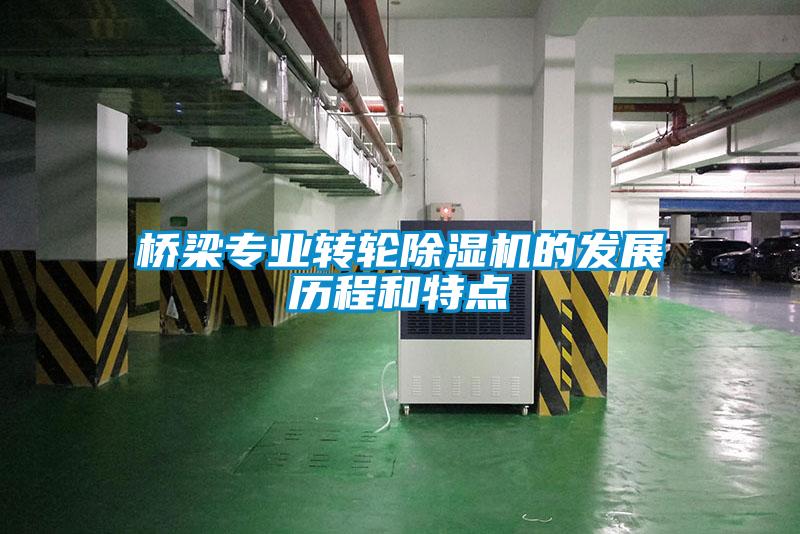 桥梁专业转轮91抖音免费看片的发展历程和特点