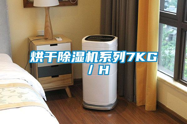 烘干91抖音免费看片系列7KG／H