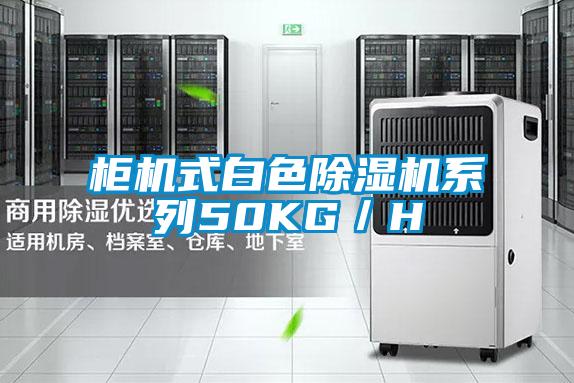 柜机式白色91抖音免费看片系列50KG／H