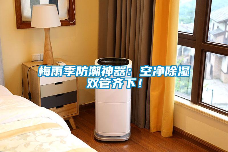 梅雨季防潮神器：空净除湿双管齐下！