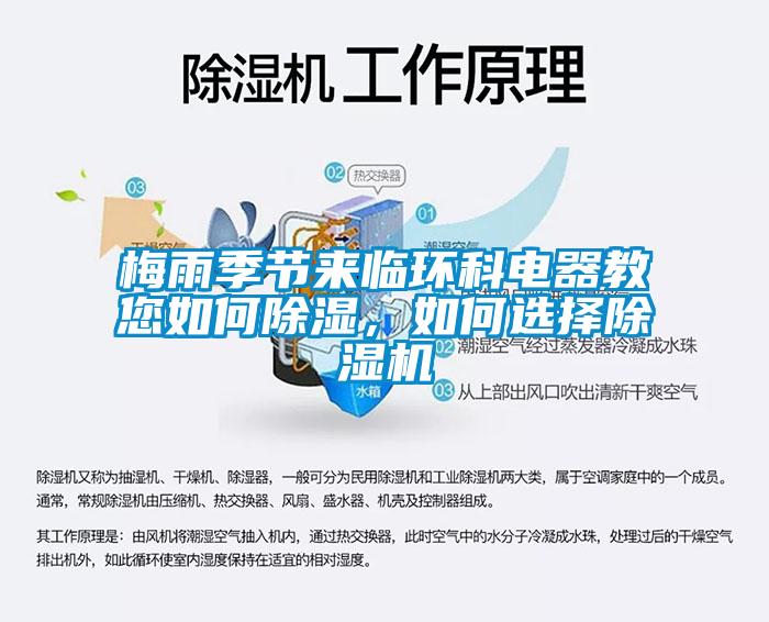 梅雨季节来临环科电器教您如何除湿，如何选择91抖音免费看片
