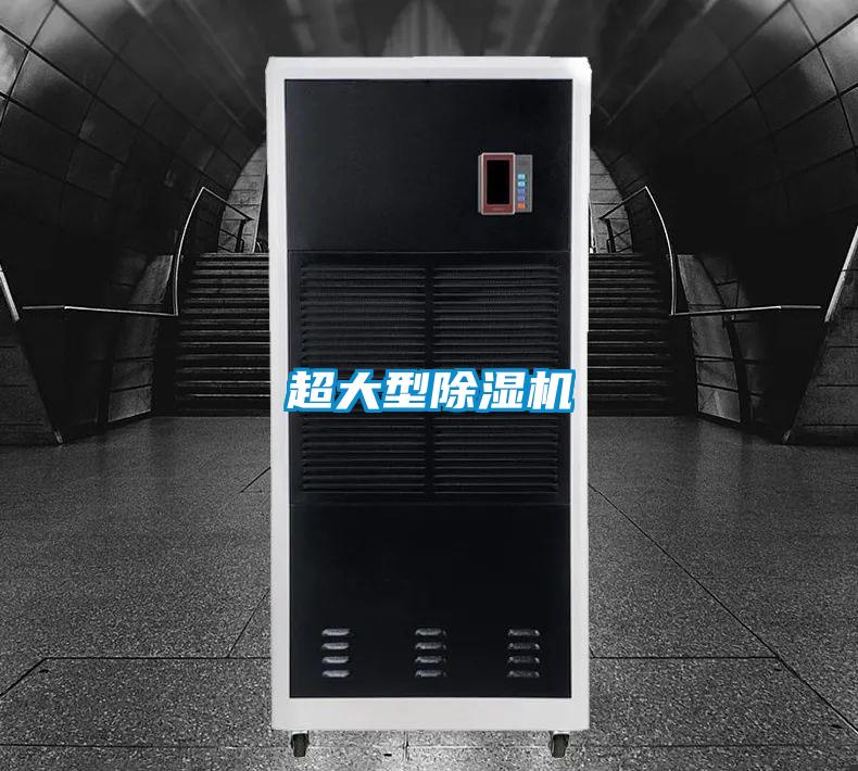 超大型91抖音免费看片