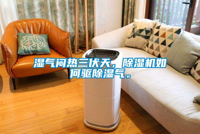 湿气闷热三伏天，91抖音免费看片如何驱除湿气。