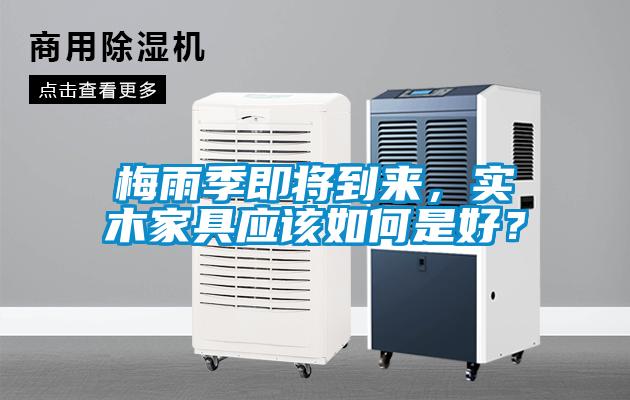 梅雨季即将到来，实木家具应该如何是好？