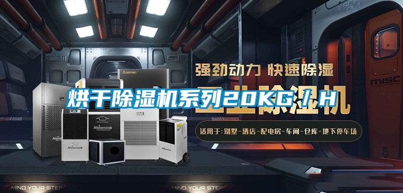 烘干91抖音免费看片系列20KG／H