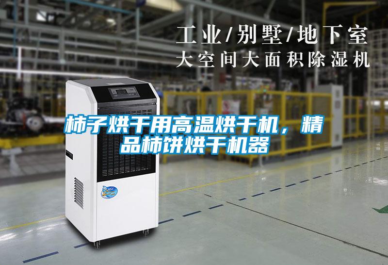 柿子烘干用高温烘干机，精品柿饼烘干机器