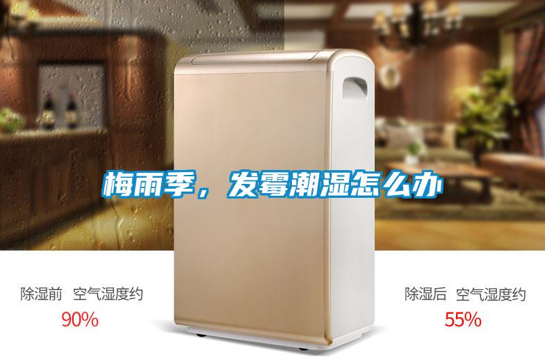 梅雨季，发霉潮湿怎么办