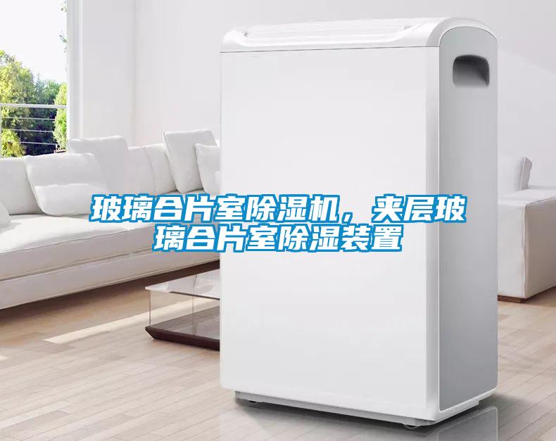 玻璃合片室91抖音免费看片，夹层玻璃合片室除湿装置
