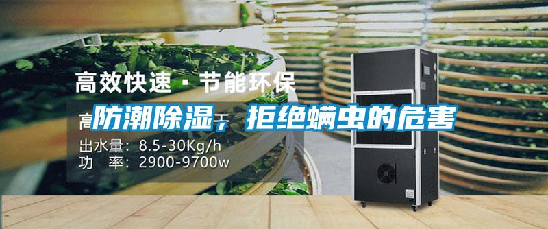 防潮除湿，拒绝螨虫的危害