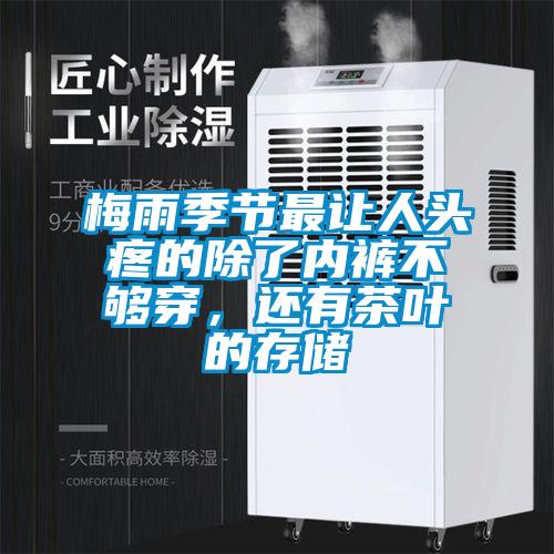 梅雨季节最让人头疼的除了内裤不够穿，还有茶叶的存储