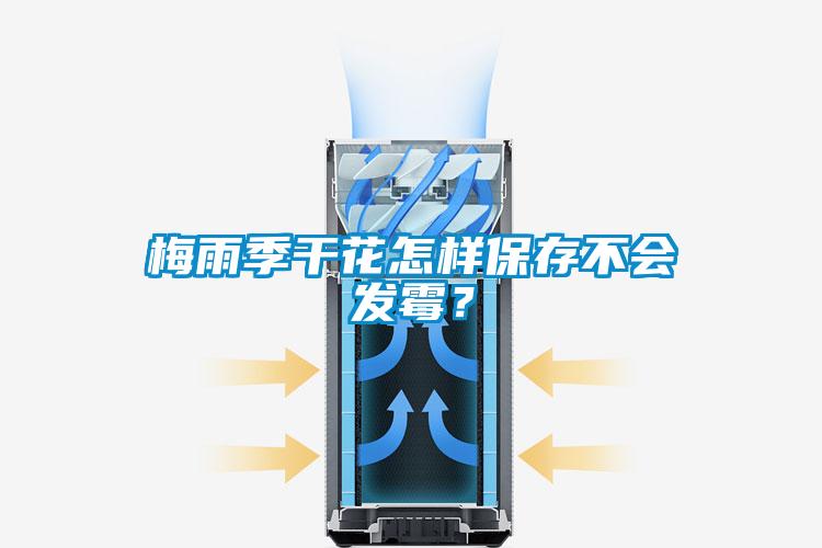 梅雨季干花怎样保存不会发霉？