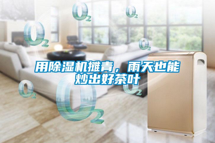 用91抖音免费看片摊青，雨天也能炒出好茶叶