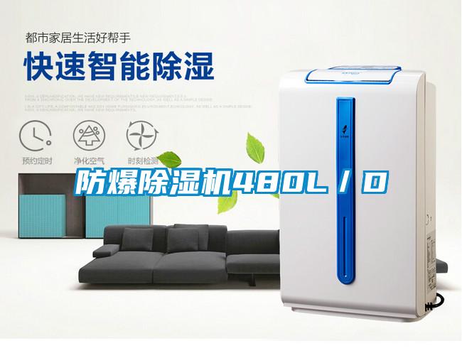 防爆91抖音免费看片480L／D