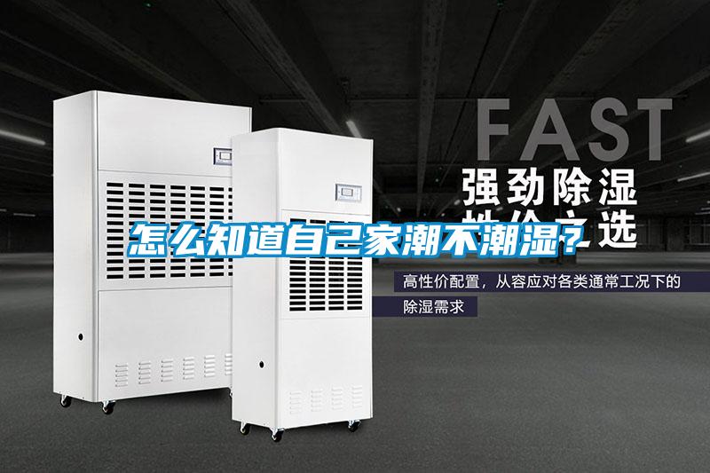 怎么知道自己家潮不潮湿？