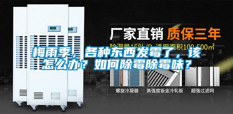 梅雨季，各种东西发霉了，该怎么办？如何除霉除霉味？