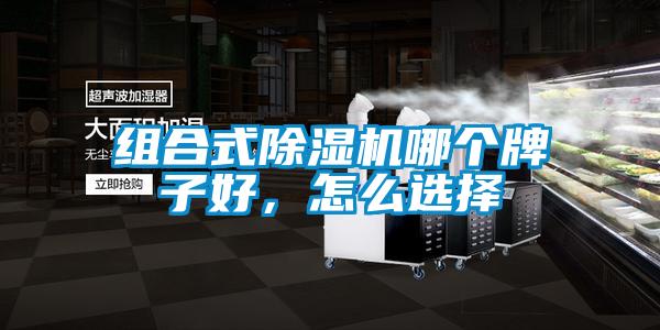 组合式91抖音免费看片哪个牌子好，怎么选择