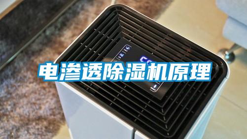 电渗透91抖音免费看片原理