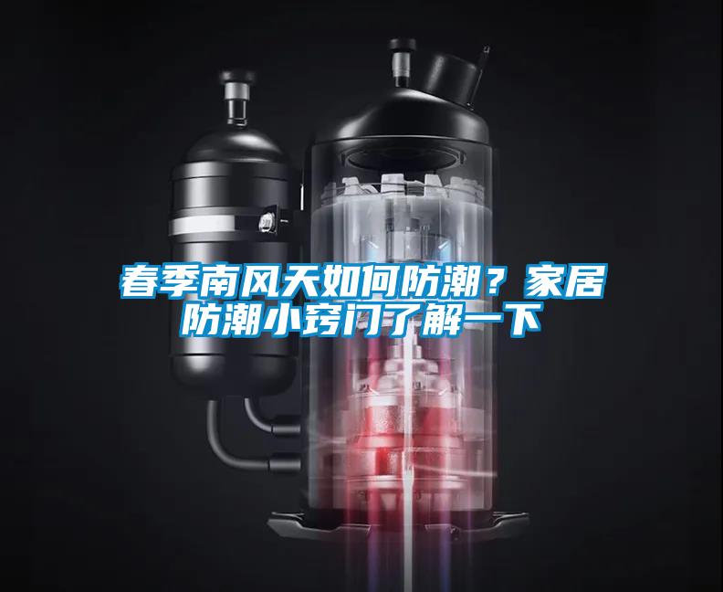 春季南风天如何防潮？家居防潮小窍门了解一下