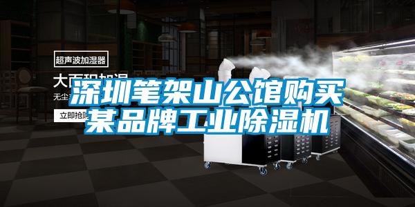 深圳笔架山公馆购买某品牌工业91抖音免费看片