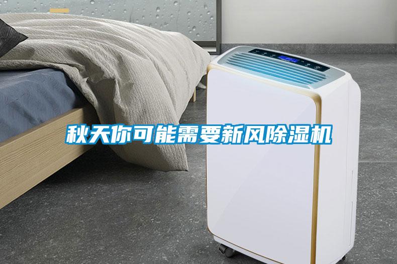 秋天你可能需要新风91抖音免费看片