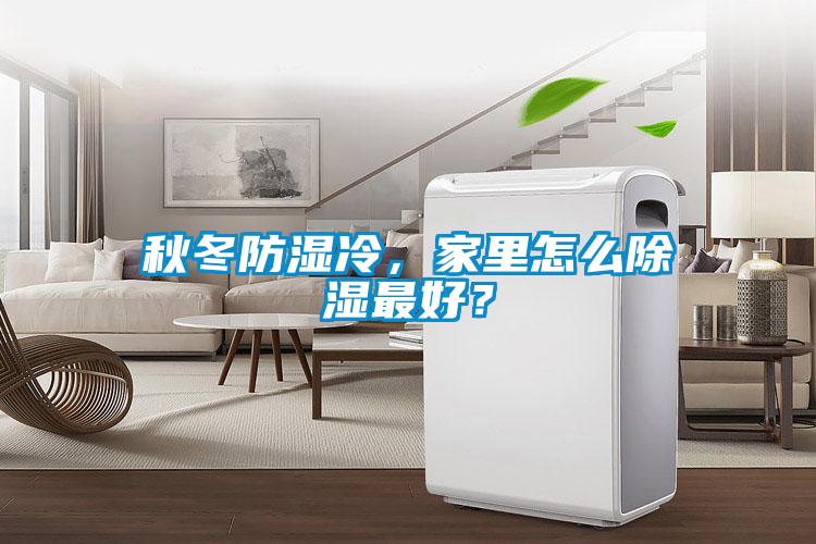 秋冬防湿冷，家里怎么除湿最好？