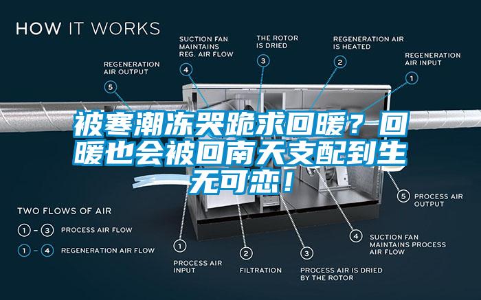 被寒潮冻哭跪求回暖？回暖也会被回南天支配到生无可恋！