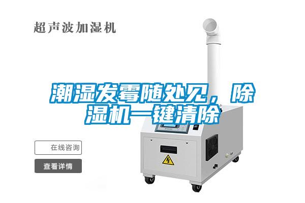 潮湿发霉随处见，91抖音免费看片一键清除