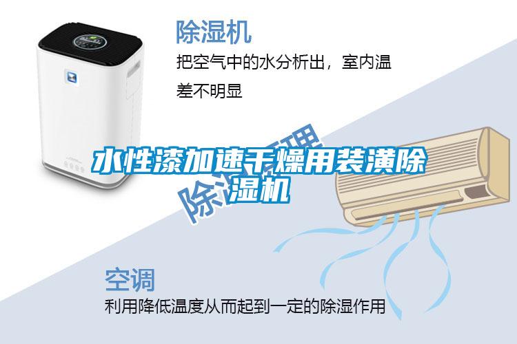 水性漆加速干燥用装潢91抖音免费看片
