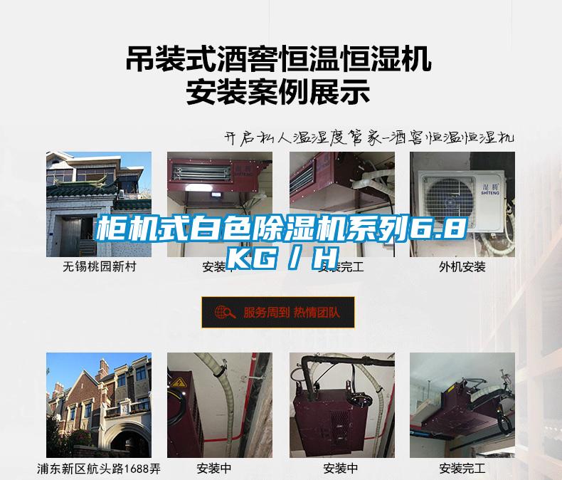 柜机式白色91抖音免费看片系列6.8KG／H