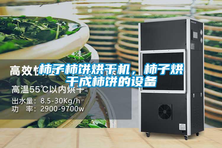 柿子柿饼烘干机，柿子烘干成柿饼的设备