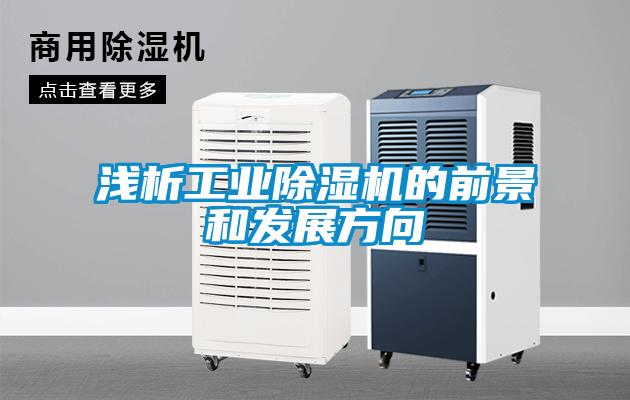 浅析工业91抖音免费看片的前景和发展方向
