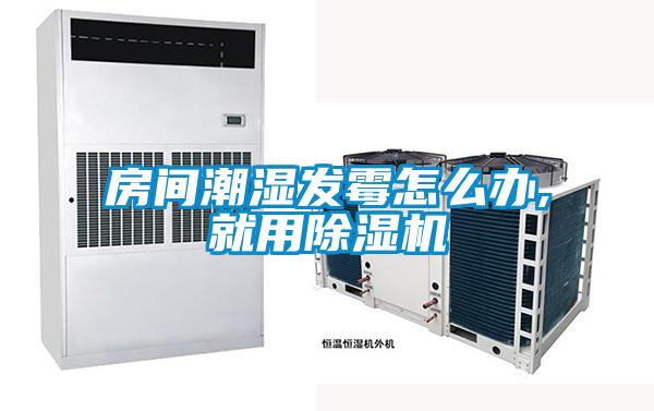 房间潮湿发霉怎么办,就用91抖音免费看片