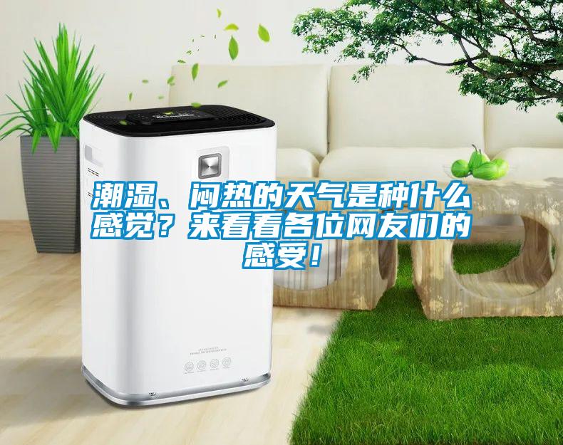 潮湿、闷热的天气是种什么感觉？来看看各位网友们的感受！