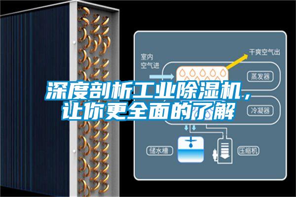 深度剖析工业91抖音免费看片，让你更全面的了解