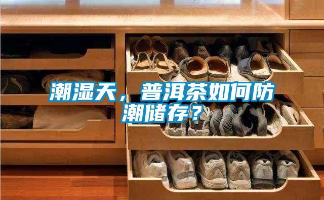 潮湿天，普洱茶如何防潮储存？