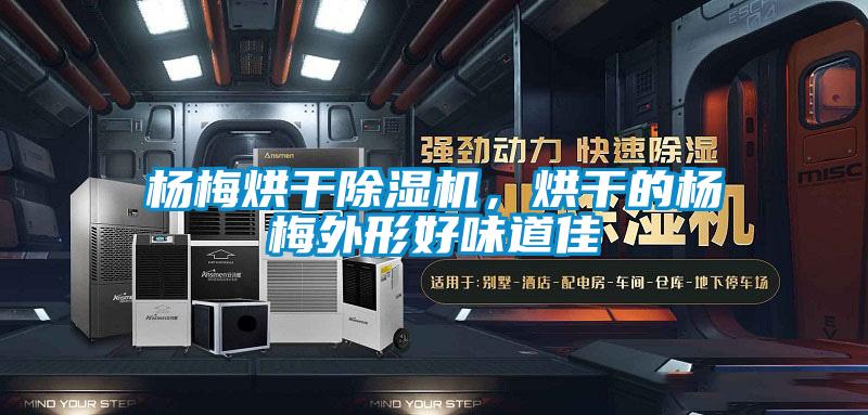 杨梅烘干91抖音免费看片，烘干的杨梅外形好味道佳
