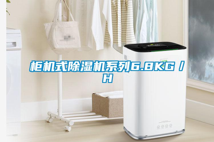 柜机式91抖音免费看片系列6.8KG／H