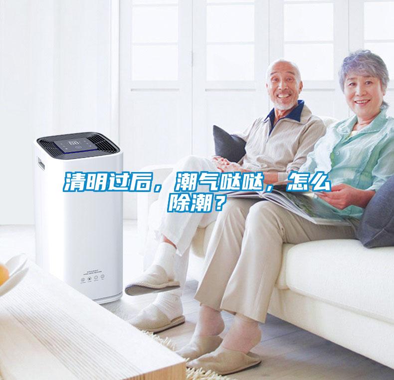 清明过后，潮气哒哒，怎么除潮？