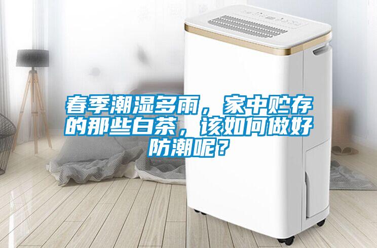 春季潮湿多雨，家中贮存的那些白茶，该如何做好防潮呢？