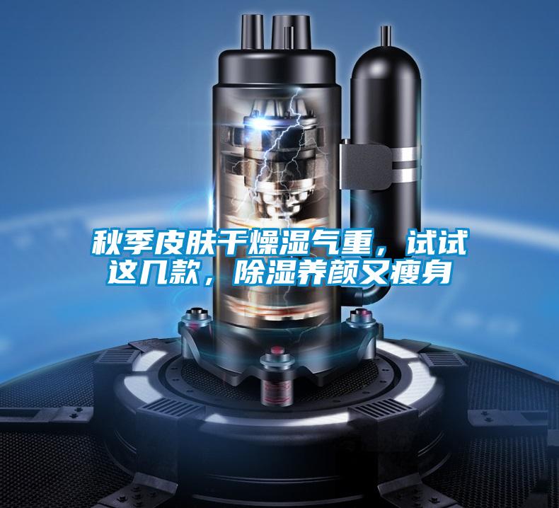 秋季皮肤干燥湿气重，试试这几款，除湿养颜又瘦身