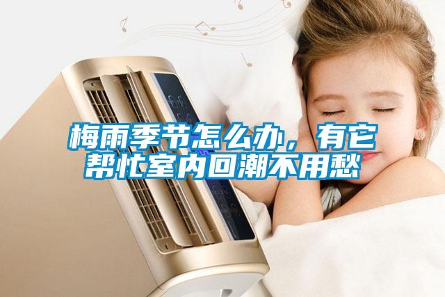梅雨季节怎么办，有它帮忙室内回潮不用愁