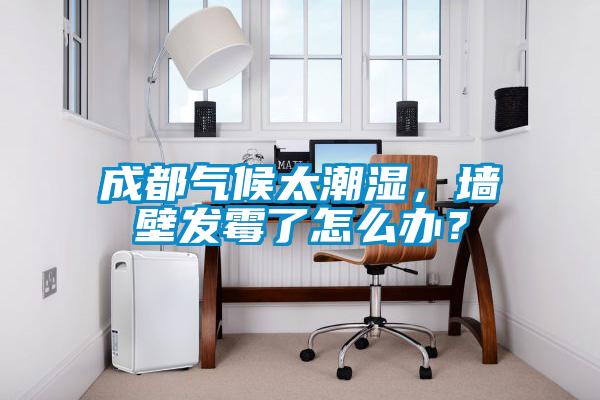 成都气候太潮湿，墙壁发霉了怎么办？